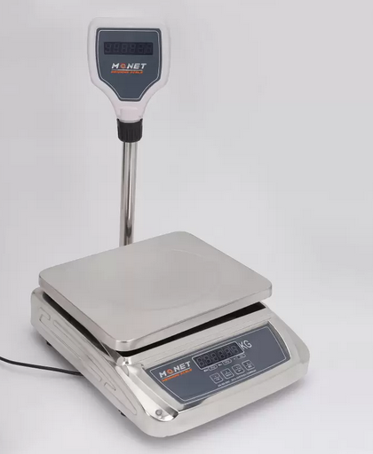 ARYA SS FP 30KG Weighing Scale (Grey)